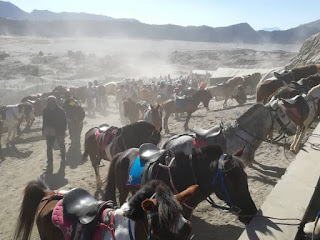 火山沙漠 Tengger