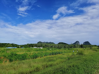 馬來西亞79号公路