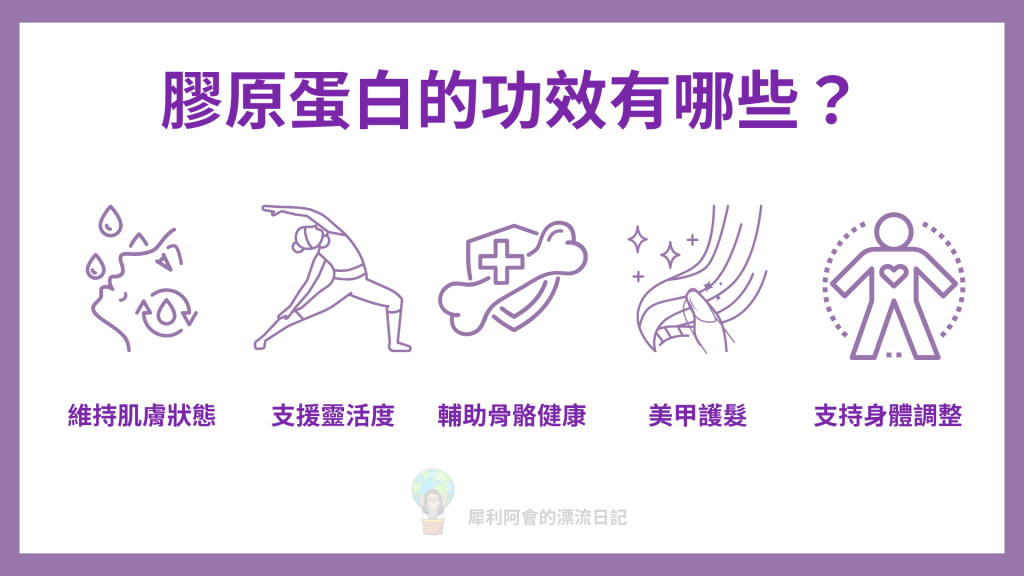 膠原蛋白的功效